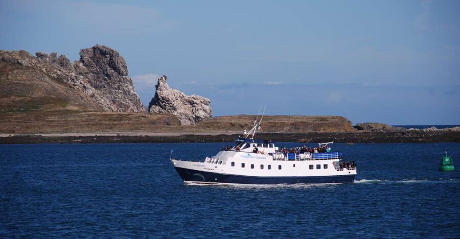 Dublin: Dublin Bay Cruise from Howth to Dun Laoghaire - How the Howth to Dun Laoghaire cruise really works
