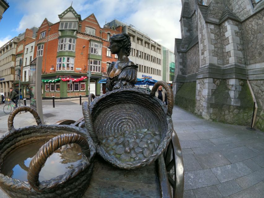 Dublin: Dublin City Highlights Private Guided Walking Tour - Trinity College Dublin, Book of Kells, and Brian Boru Harp without the confusion
