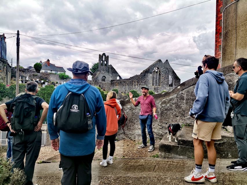Dublin: Dublin Coastal Hike and Pints & Puppies - Fitness level and what to wear for Irish coastal weather