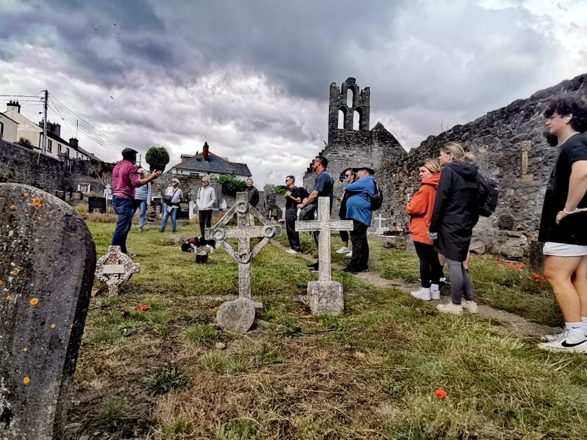 Dublin: Dublin Coastal Hike and Pints & Puppies - Price and timing: what $53 buys you in real terms