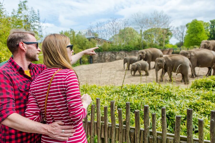 Dublin Explorer Pass: Save up to 50% on 3 to 7 Attractions - Timing Tips in Dublin, Using the Pass Around Opening Hours and Reservations