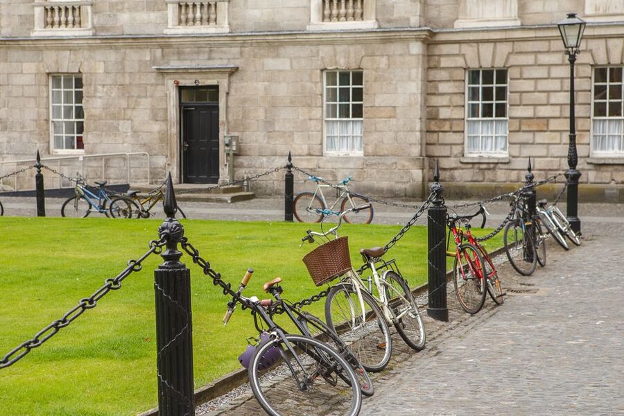 Dublin: Fast-Track Book of Kells Ticket & Dublin Castle Tour - Reading symbolism in a manuscript, not just staring at it