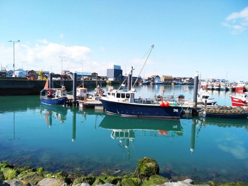 Dublin: Full-Day Howth and Malahide Castle Tour - Who Should Book This Tour (and Who Might Want a Different Plan)