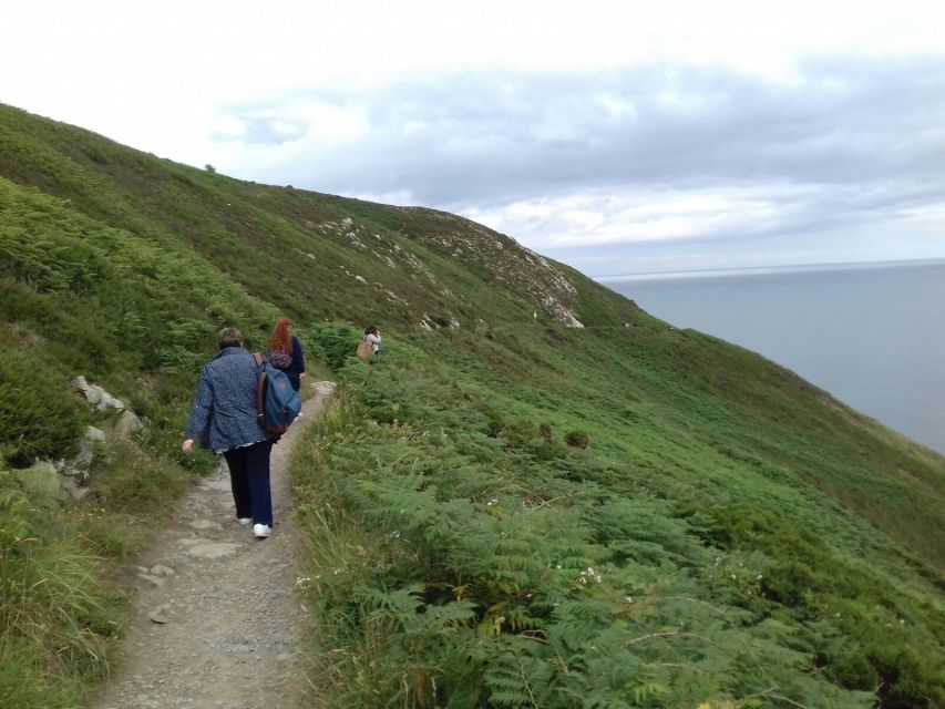 Dublin: Full-Day Howth and Malahide Castle Tour - Howth Lunch and Harbor Life: Where the Seals Steal the Scene