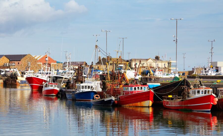 Dublin: Full-Day Howth and Malahide Castle Tour - The Optional Summit-to-Village Walk and Its Real Payoff