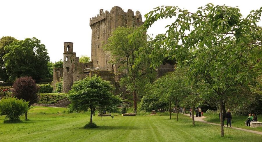 Dublin: Full-Day Tour to Cork, Cobh and Blarney Castle - Cork City in a short window: Georgian streets and a quick hit of culture