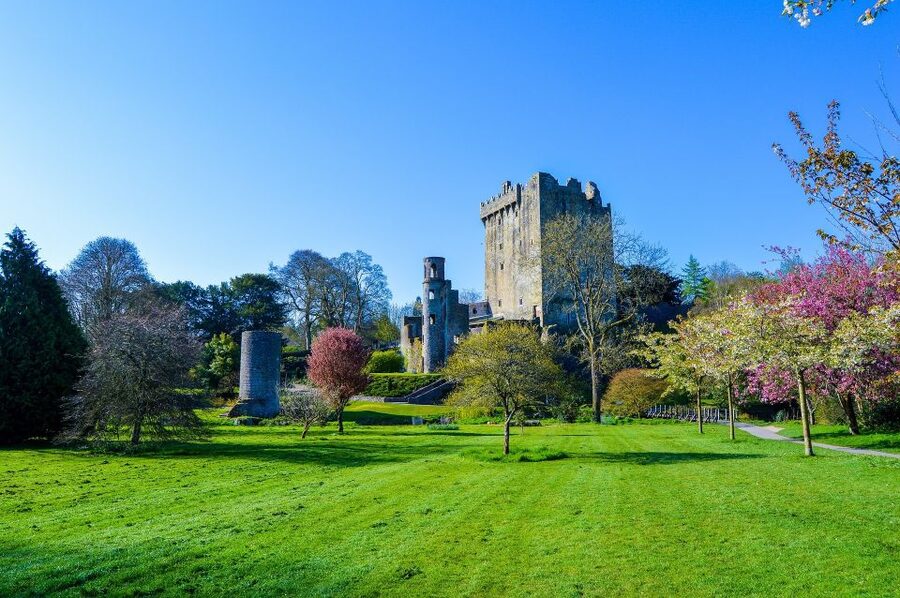 Dublin: Full-Day Tour to Cork, Cobh and Blarney Castle - The guided part that makes or breaks it: what the best guides do