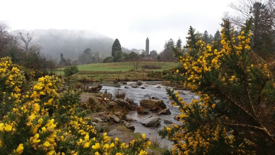 Dublin: Full-Day Wicklow Mountains Tour w/ Glendalough Visit - Glendalough: St. Kevin’s monastery, the Celtic cross, and the lakes paths