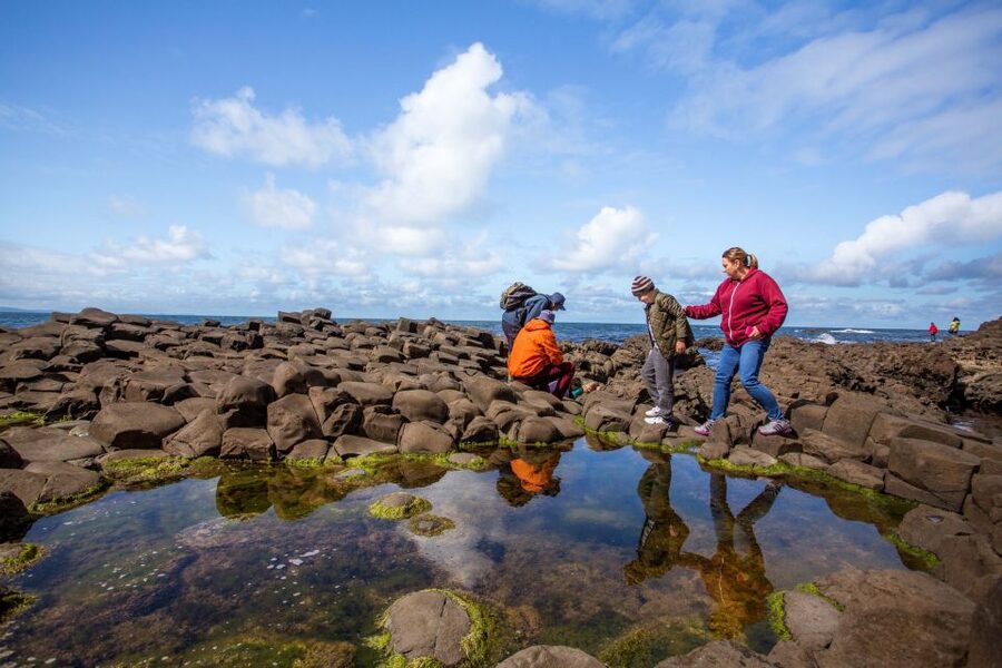 Dublin: Giant's Causeway & Belfast (Titanic or Black Taxi) - Who Should Book This Day Trip, and Who Might Want a Different Plan