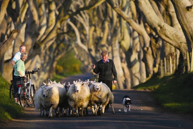 Dublin: Giant's Causeway, Dark Hedges, Dunluce and Belfast Titanic entrance fee - Titanic Belfast with your included ticket, museum time you can manage