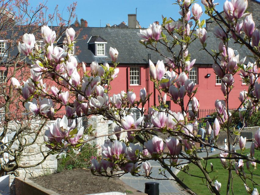 Dublin: Highlights and Hidden Corners Walking Tour - Fishamble Street, Smock Alley, and Temple Bar’s meeting points