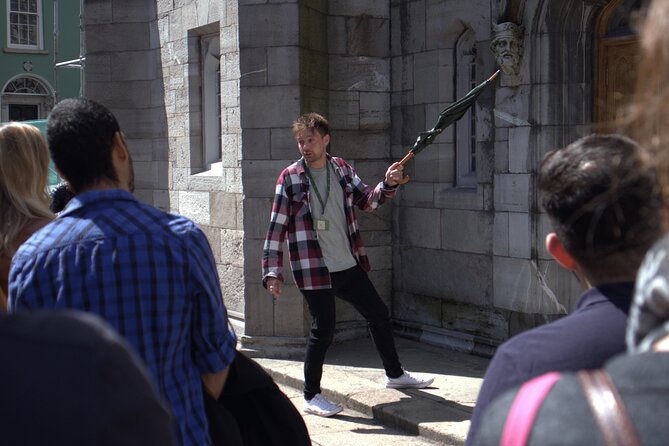 Dublin Highlights and Hidden Gems Guided Walking Tour - Dublin Castle grounds: Viking roots to independence-era Dublin