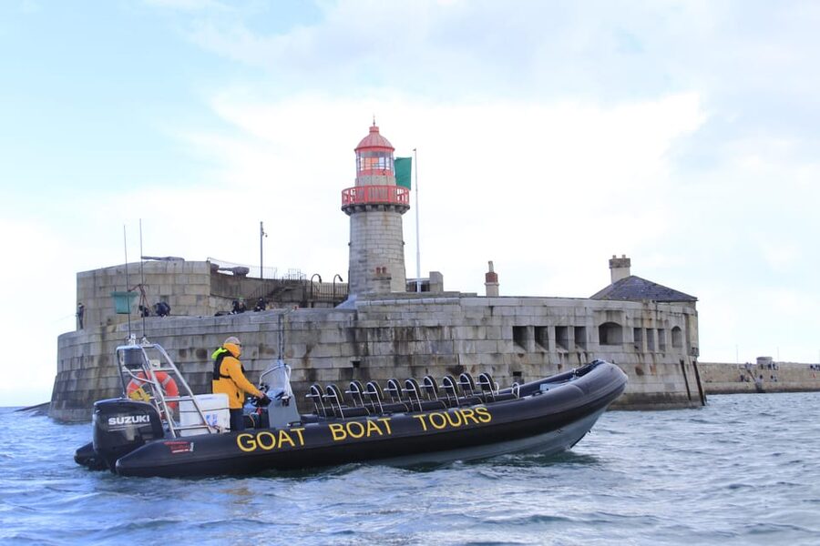 Dublin: History and Wildlife Boat Tour with Live Commentary - Martello Towers, coastal mansions, and the stories you’ll remember later