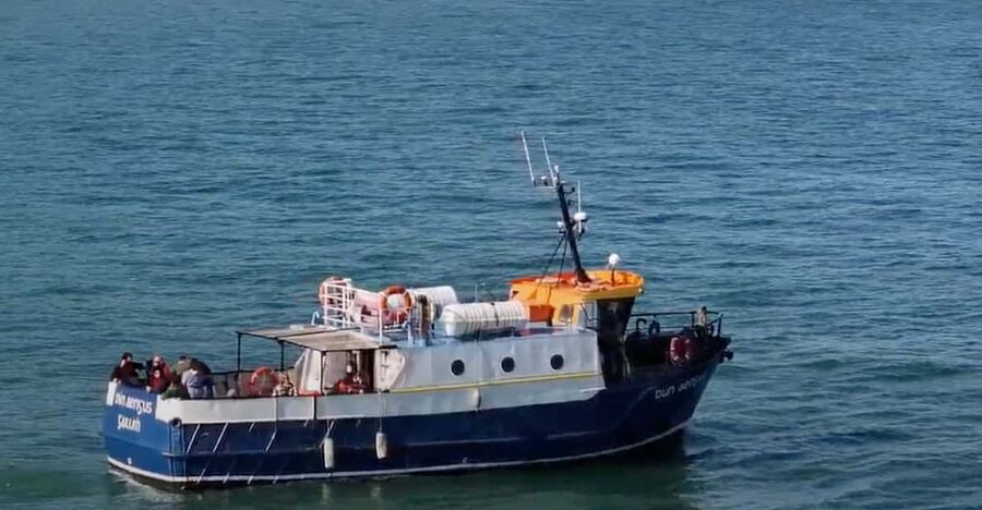 Dublin: Howth Cliffs and Lighthouse Boat Tour - Stop-by-stop: what the cruise includes on the water