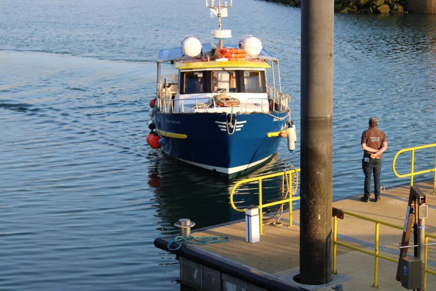 Dublin: Howth Cliffs and Lighthouse Cruise - Why the Howth Cliffs by Boat Feels Worth the Short Time