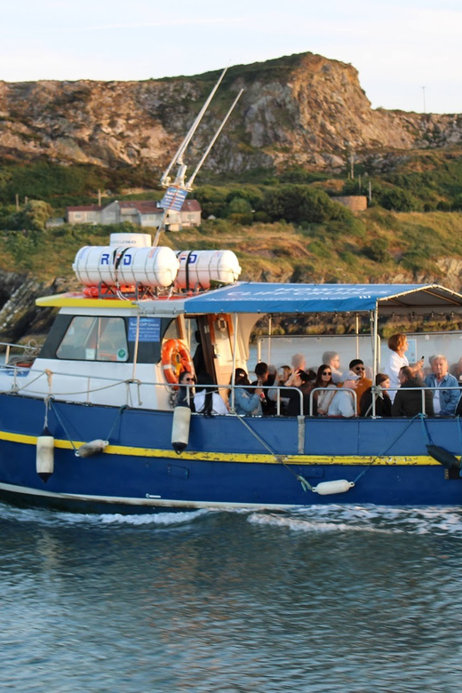 Dublin: Howth Coast and Ireland's Eye Boat Tour - Howth to Ireland’s Eye in 45 Minutes, Short But Scenic