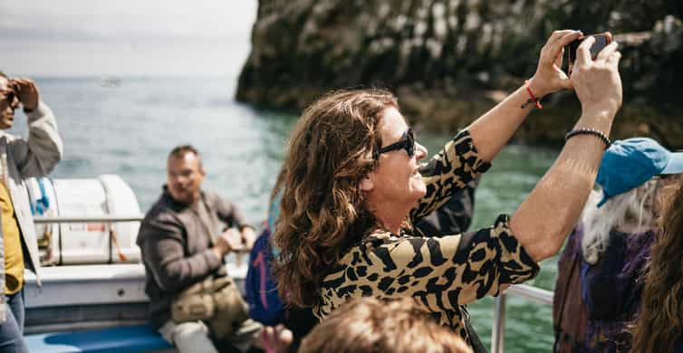 Dublin: Howth Coastal Boat Tour - Key highlights you’ll care about