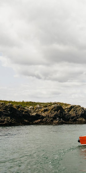 Dublin: Howth Coastal Boat Tour - Who should book this tour in Howth?
