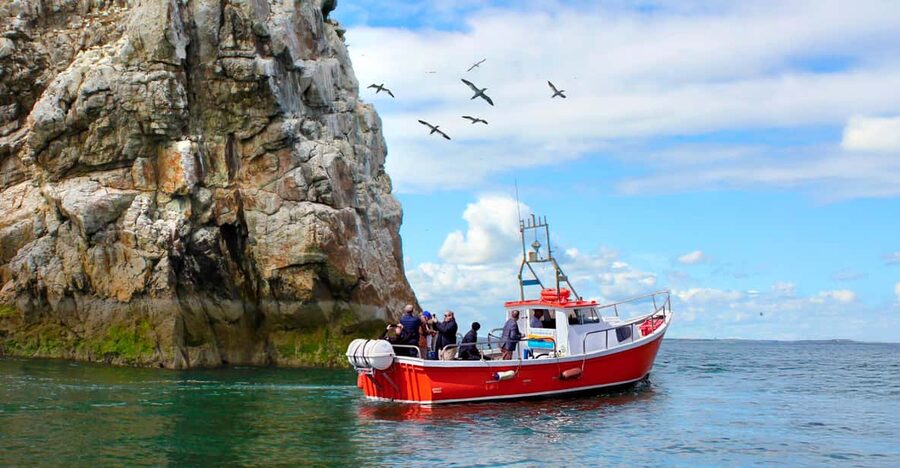 Dublin: Howth Coastal Boat Tour - Howth to Ireland’s Eye in 50 minutes: what the trip feels like