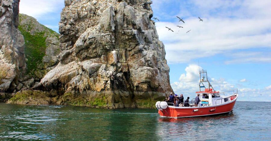Dublin: Howth Coastal Boat Tour - The on-board vibe: live commentary, music, and how to hear it
