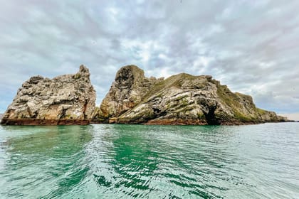 Dublin: Howth Coastal Boat Tour - Stop-by-stop: what you see when you pass each moment
