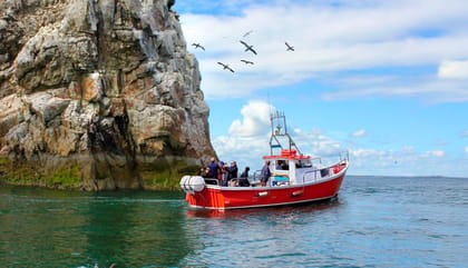 Dublin: Howth Coastal Boat Tour - Getting to 9 W Pier without stress