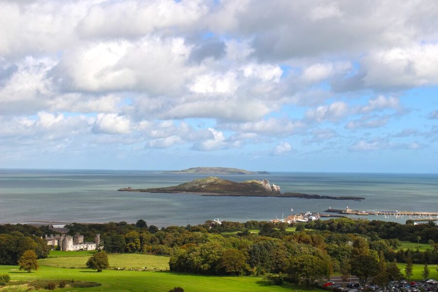 Dublin: Howth Coastal Hiking Tour - Back to Howth Harbour, finishing with the best kind of local knowledge