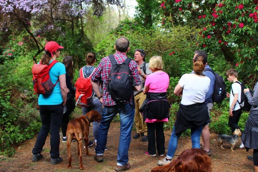 Dublin: Howth Coastal Hiking Tour - Baily Lighthouse and the cliff angles you will remember