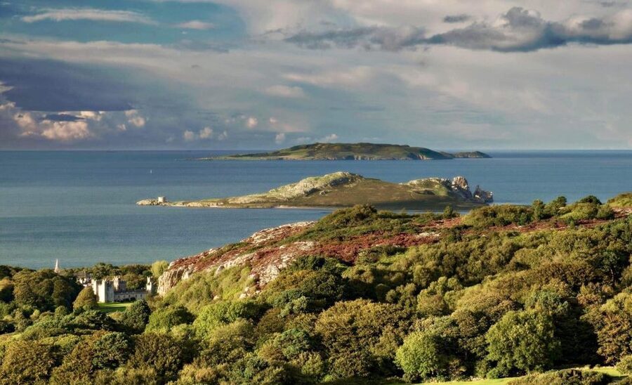 Dublin: Howth Coastal Hiking Tour - Howth Cliff Walk and Balscadden Bay, where nature takes center stage