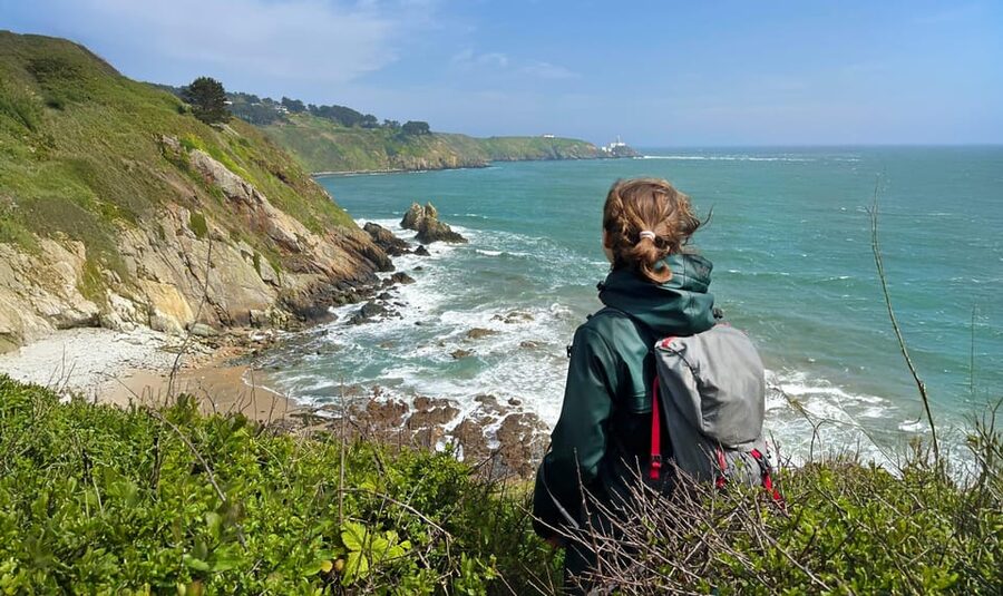 Dublin: Howth Safari Hiking Tour - Key things that make this Howth Safari hike worth your time