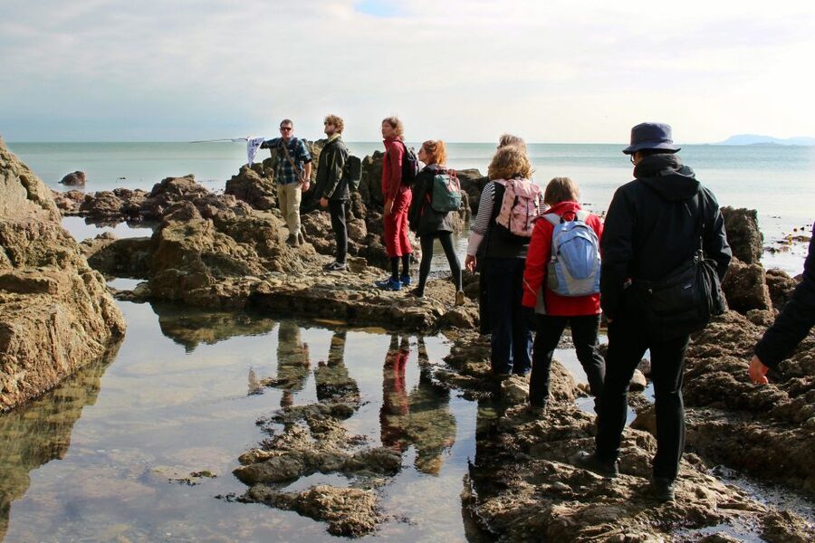 Dublin: Howth Safari Hiking Tour - Doldrum Beach, Jamesons Cove, and the cliff photo point for payoff