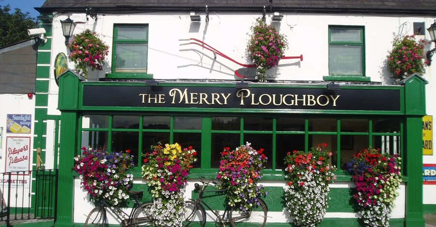 Dublin: Irish Night Show at the Merry Ploughboy Pub - Inside the Irish Night show: music, singing, and stepdancing