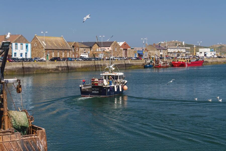 DUBLIN: Malahide castle and Howth MULTILINGUAL full day tour - Howth harbor and fishermen’s village: lunch, sea views, and seal spotting