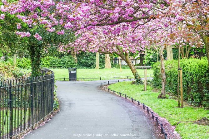 Dublin Off-The-Beaten-Path Private Literary Walking Tour - Price and value for a 2.5-hour private walk at $170