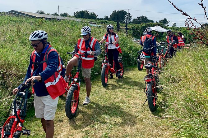 Dublin Panoramic e-Bike Tour with Howth Adventures - Howth Head and the view that hits all directions