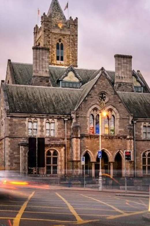 Dublin : Private Custom Tour with a Local Guide - Meet your guide, then shape the day around you