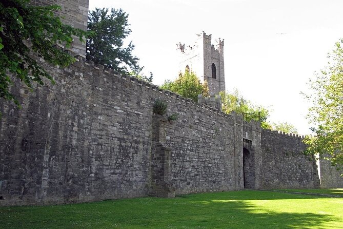 Dublin Private Medieval Walking Tour - Christ Church Cathedral area and Strongbow’s burial link