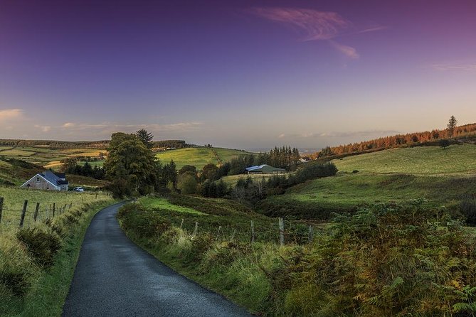 Dublin Private Walking Tour with a Local - Price and value: what $66.09 gets you in real life