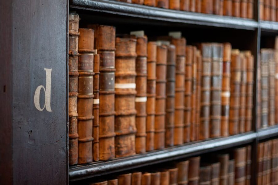 Dublin: St Patrick's, Book of Kells, and Dublin Castle Tour - Meeting at St Patrick’s Garden, and how to avoid a timing headache