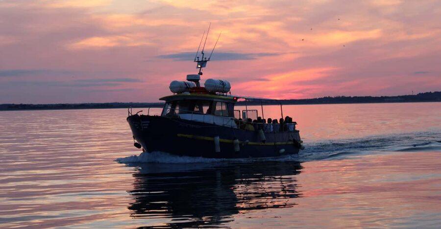 Dublin: Sunset Cruise in Howth - Key highlights to know before you go