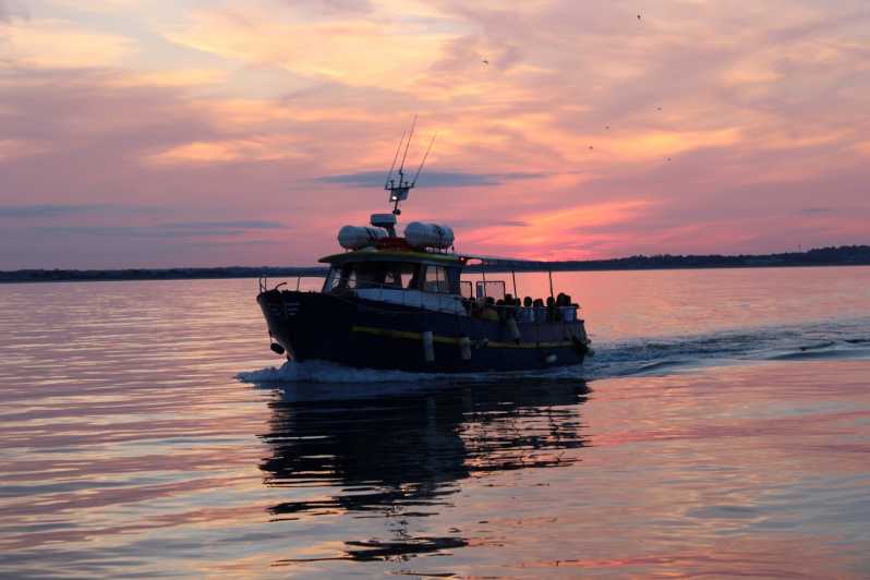Dublin: Sunset Cruise in Howth - Why a Howth sunset cruise beats an ordinary harbor walk
