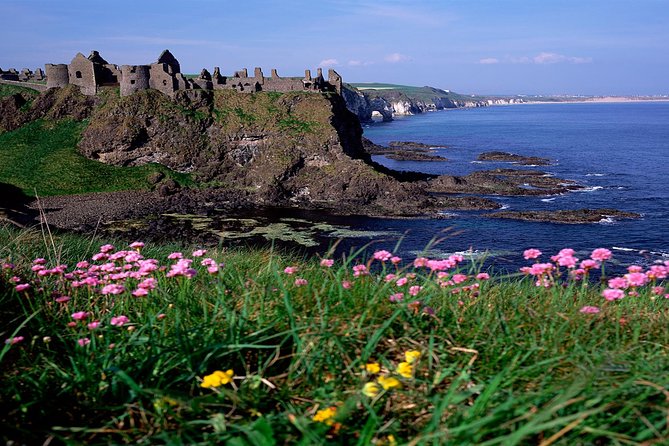 Dublin to Belfast Titanic, Dunluce Castle & Giant's Causeway Tour - The guide and driver matter more than you think on a day like this