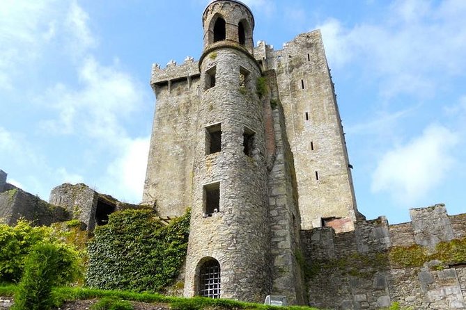 Dublin to Cork, Blarney Castle & Cóbh Heritage Centre by train - Blarney Castle and Gardens: More Than Just the Stone