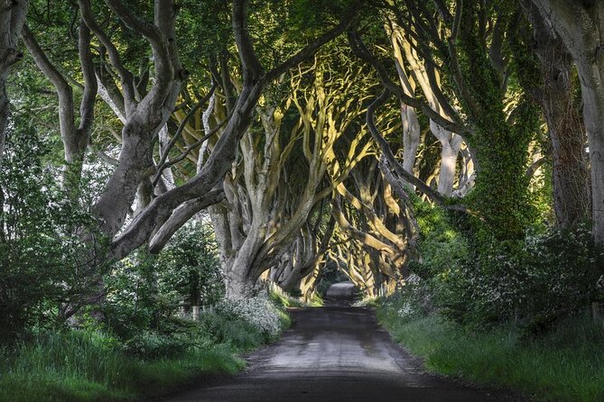 Dublin to Dunluce Castle, Giant's Causeway, Dark Hedges & Belfast - From Dublin at 6:45 to Belfast by evening