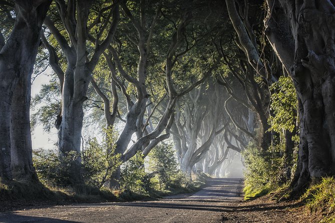 Dublin to Dunluce Castle, Giant's Causeway, Dark Hedges & Belfast - How the guide and coach ride shape the day