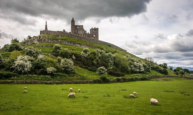 Dublin to Rock of Cashel, Cork City & Blarney Castle Guided Tour - Key points to know before you go