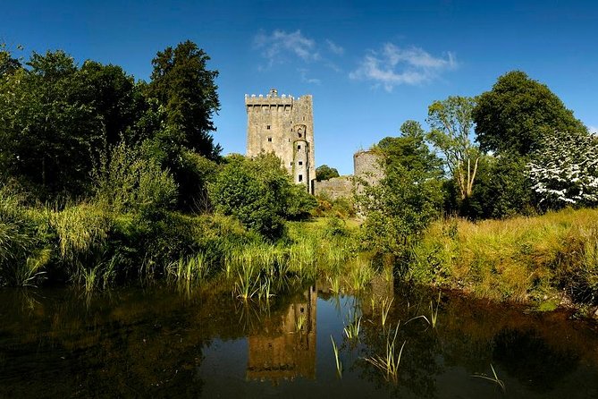 Dublin to Rock of Cashel, Cork City & Blarney Castle Guided Tour - Cork City time: English Market snacks and a Rebel City walk