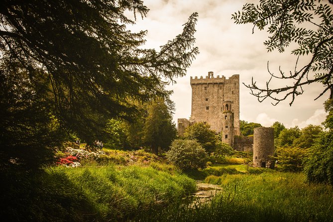 Dublin to South West 5 Day Small-Group Tour with Accommodation - Day 4: Carrauntoohil, Portmagee, Valentia options, and Torc Waterfall