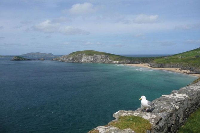 Dublin to South West 5 Day Small-Group Tour with Accommodation - Lodging in Galway and Killarney: en-suite rooms, breakfast, and what to expect