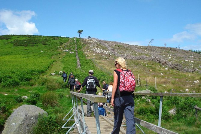 Dublin to Wicklow, Glendalough Small Group Tour with Guided Walk - Scenic stops in the Wicklow Mountains: Sally Gap and Guinness Lake (Lough Tay)